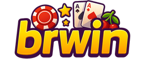 Brwin Logo